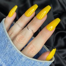 Charger l'image dans la galerie, Sunflower