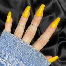 Charger l'image dans la galerie, Sunflower