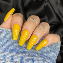 Charger l'image dans la galerie, Sunflower